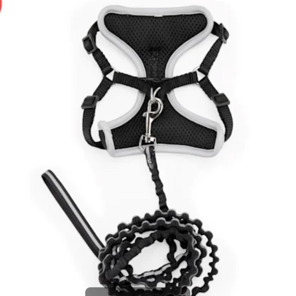 NWOT Youly Cat Harness Leash Set